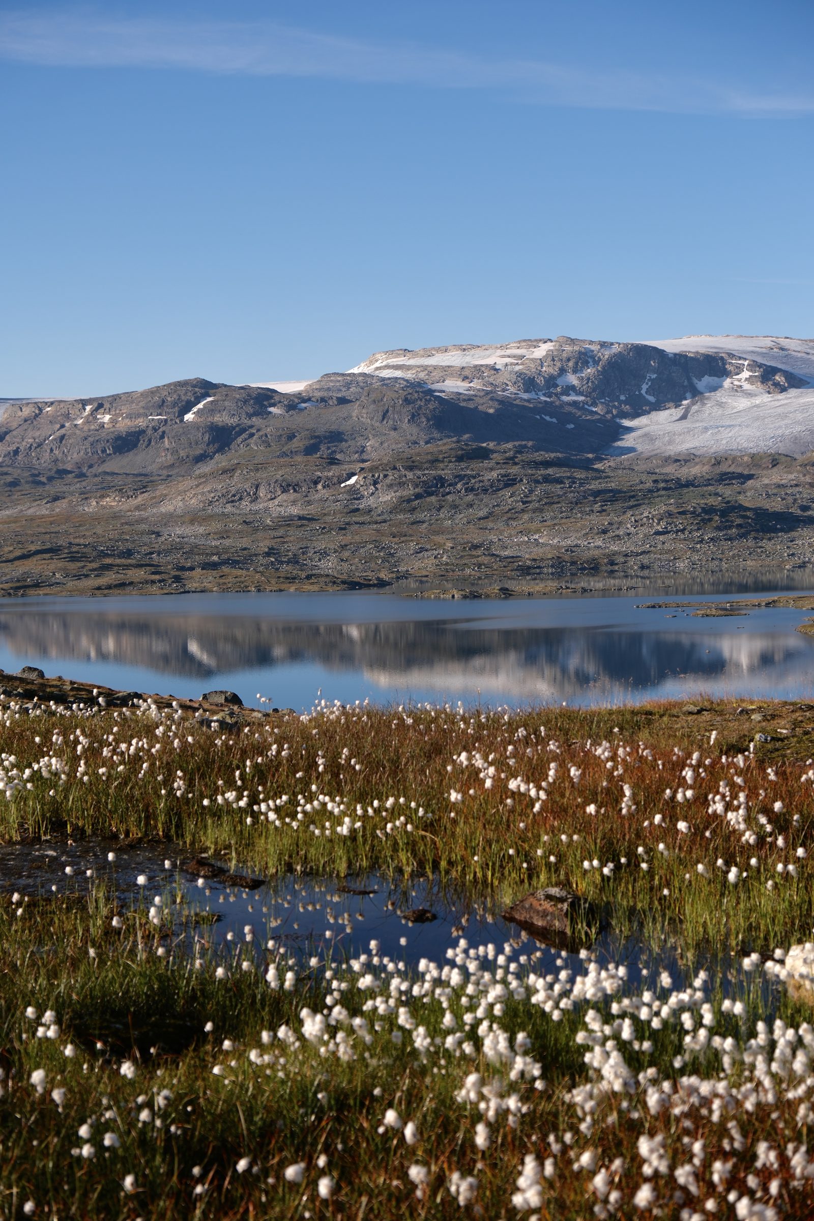 Finsevann og Hardangerjøkulen en sommerdag